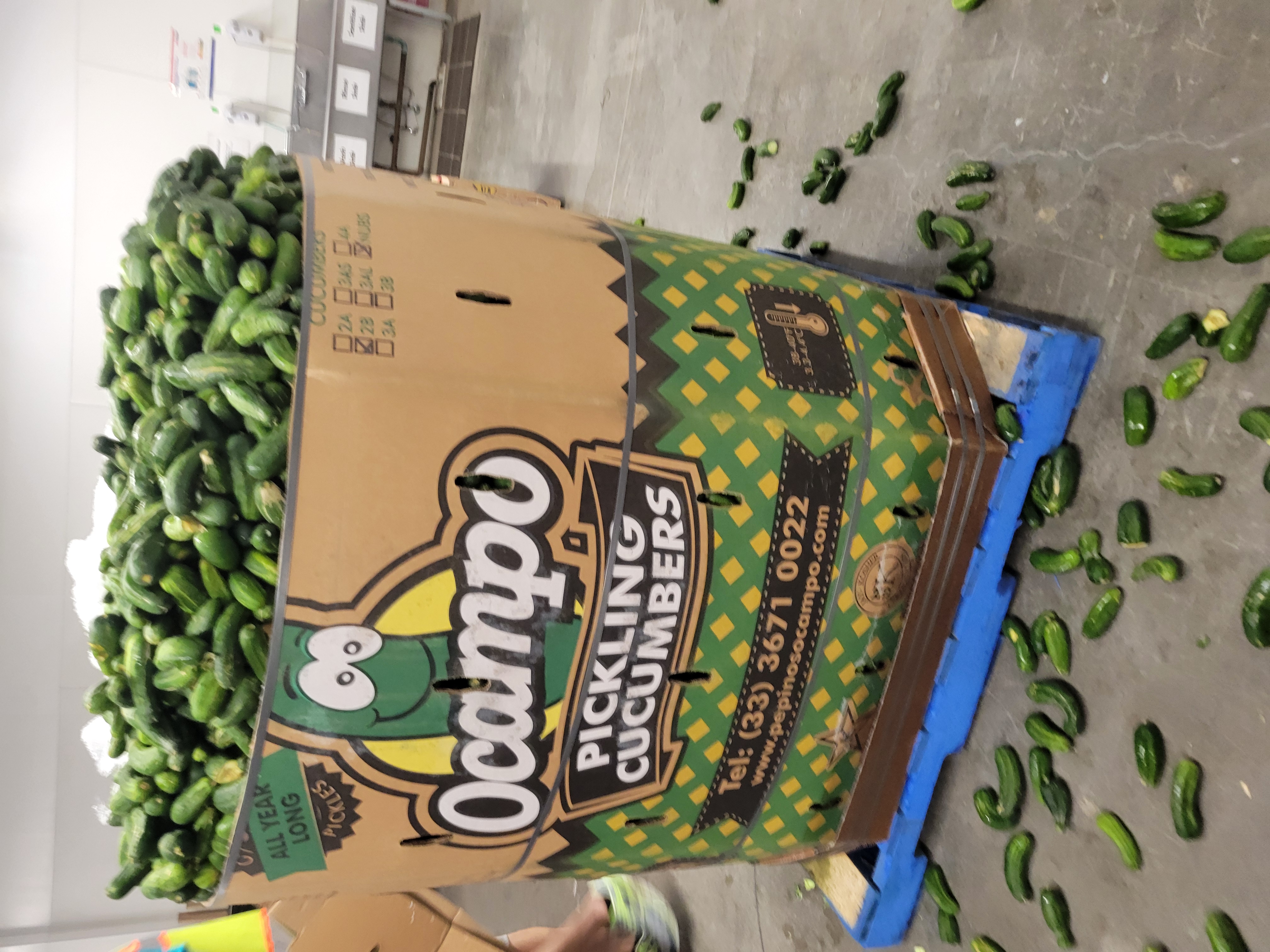 Cardboard container full of cucumbers with some on the floor.